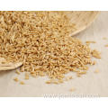 Oat Rice Flour Substitute